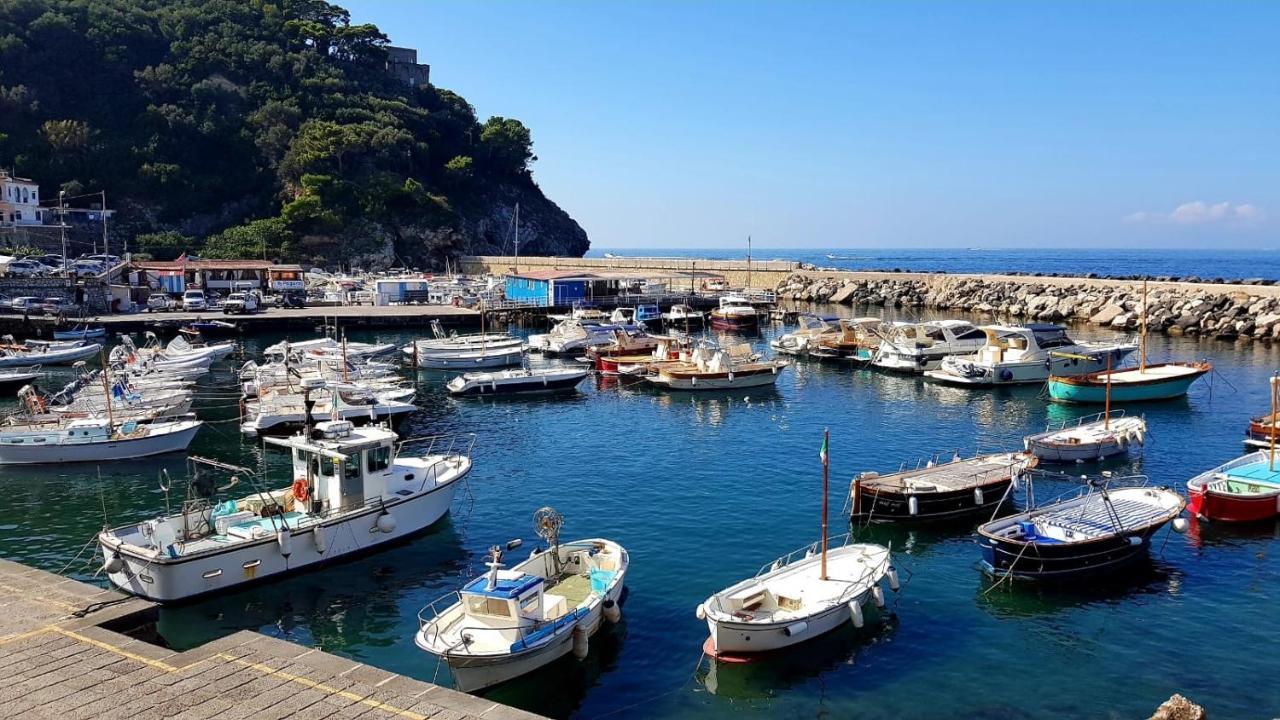 Apartament Relais Del Mare Con Terrazza Fronte Mare Free Parking Massa Lubrense Zewnętrze zdjęcie